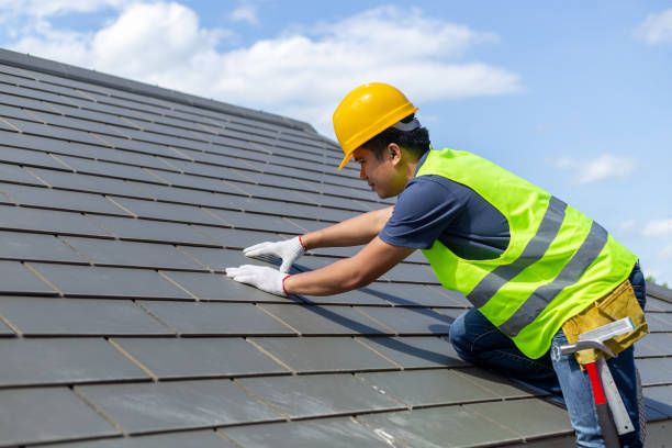 Best Roof Leak Repair  in Palestine, IL