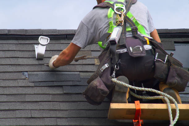 Best Roof Replacement Cost  in Palestine, IL