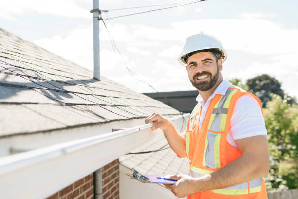 Best Metal Roofing Contractor  in Palestine, IL