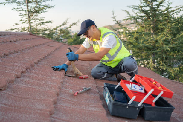 Best New Roof Installation  in Palestine, IL
