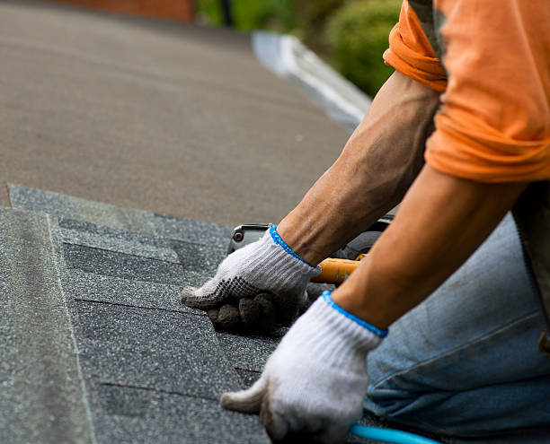 Best Best Roofing Contractors  in Palestine, IL