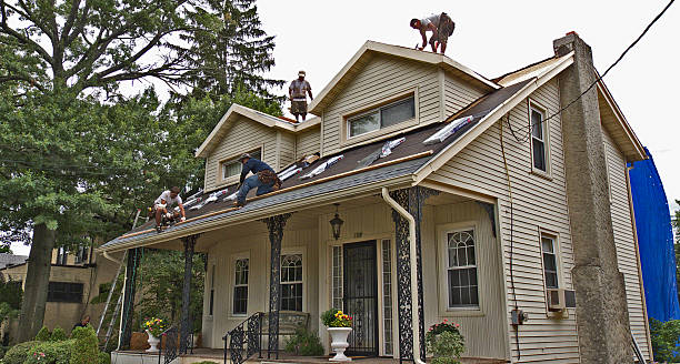 Best Flat Roof Repair Services  in Palestine, IL