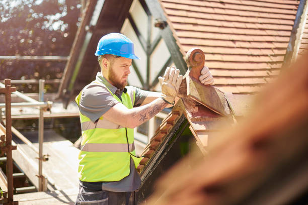 Gutter Installation and Roofing in Palestine, IL