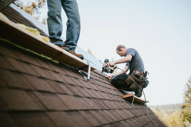 Best Storm Damage Roof Repair  in Palestine, IL